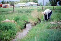 Kaber farm, Irrigating fields 024 thumbnail