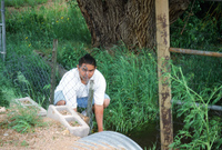 Landscapes and ostrich farm 018 thumbnail