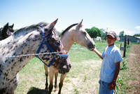 Montoya farm 010 thumbnail