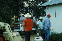 Picking and selling peas 021 thumbnail