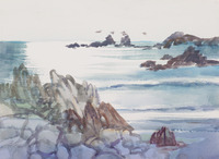 Pelicans Over Point Pinos thumbnail