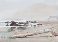 Driftwood, Rocks, and Pier thumbnail