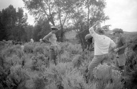 Gallegos farm, Building fences 021 thumbnail