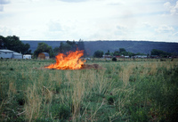 Kaber farm, Field burning and plowing 002 thumbnail