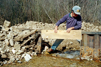 Maistas farm, Ditch and cattle 021 thumbnail