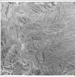 1979 06019 279-202 R [Fresno County, California aerial survey, 1979] thumbnail