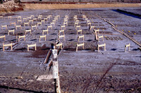 Pt. Mugu Wetlands thumbnail