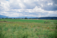 Kaber farm, Plowing 032 thumbnail