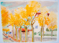 53 Pacific & Madison Sts. thumbnail