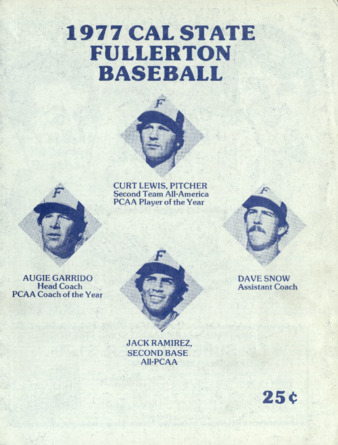 1977 Baseball Season thumbnail
