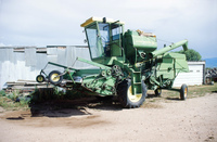 Kaber farm, Threshing winter wheat 006 thumbnail