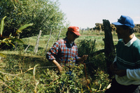 San Luis Valley farms 064 thumbnail
