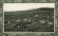 Dairy Farm at Kingaroy, Burnett District, S.Q. thumbnail