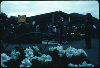 [Cal Poly Plant Shop, 1983] thumbnail