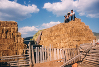 Kaber farm, Making chicos 010 thumbnail