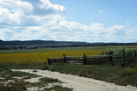 San Luis Valley farms 055 thumbnail