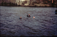 Divers Okay. Jack and Mike thumbnail