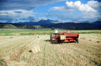 Kaber farm, Threshing oats and baling hay 033 thumbnail