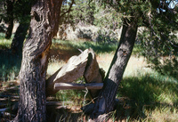 Torres ranch landscapes 001 thumbnail