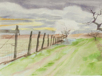 Fence, Folsom's Ranch thumbnail