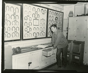 [Horseshoe display cases] thumbnail