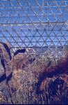 Biosphere 2 thumbnail