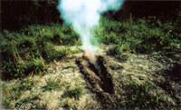 Silueta Series: Earth, Gunpowder thumbnail