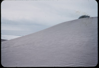 Rippled Dune thumbnail