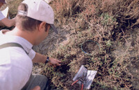 Pt. Mugu Wetlands thumbnail
