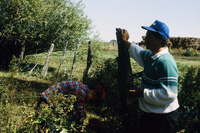 San Luis Valley farms 065 thumbnail