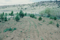 San Luis Valley landscapes 002 thumbnail