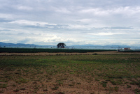 Sunny Valley Inc, Potato farm and processing 028 thumbnail