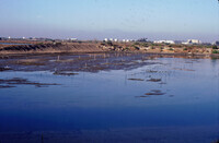 Pt. Mugu Wetlands thumbnail