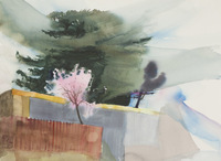 Laguna & Delaware SC thumbnail