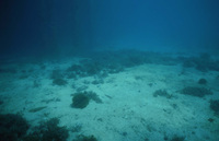 Dock Control Site thumbnail