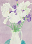 White Irises in Vase (home) thumbnail