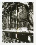 Kofoid, Prof. Nelson, two residences, Berkeley, 1904 thumbnail