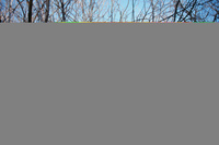 Gallegos farm 043 thumbnail