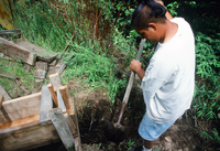 Kaber farm, Water control 011 thumbnail