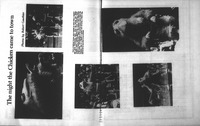 file details