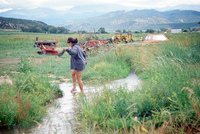 Kaber farm, Compuerta irrigation 023 thumbnail
