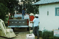 Picking and selling peas 022 thumbnail