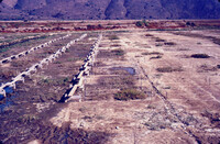 Pt. Mugu Wetlands thumbnail