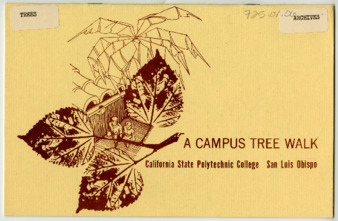 A Campus Tree Walk thumbnail