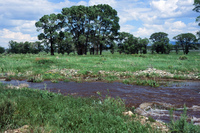 Watershed and canals 005 thumbnail