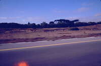 Dunes near Monterey thumbnail