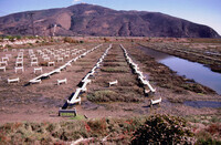 Pt. Mugu Wetlands thumbnail