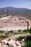 Pt. Mugu Wetlands thumbnail