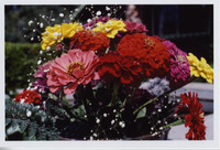 Gerber House and Garden - Family Home of Rudolf W. Gerber, M.D. and wife Catherine Gerber thumbnail