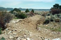 Maistas farm, Ditch and cattle 029 thumbnail